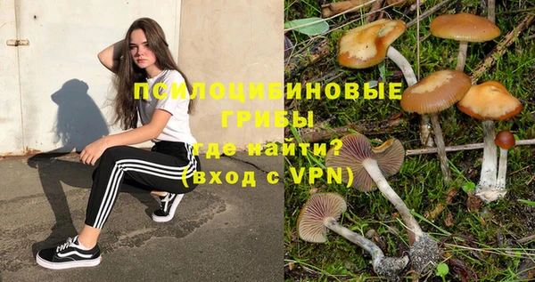 МДПВ Вязники